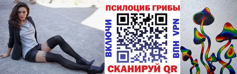 Псилоцибиновые грибы мицелий Благовещенск